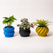 Cargar imagen en el visor de la galería, Portamacetas 3d #10