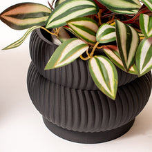 Cargar imagen en el visor de la galería, Portamacetas 3d #10