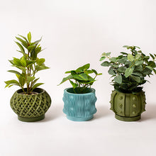 Cargar imagen en el visor de la galería, Portamacetas 3d #12