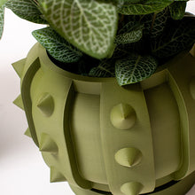 Cargar imagen en el visor de la galería, Portamacetas 3d #12