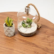 Cargar imagen en el visor de la galería, Mesa de centro Lido walnut