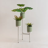 Macetero Mash matcha con pedestal blanco