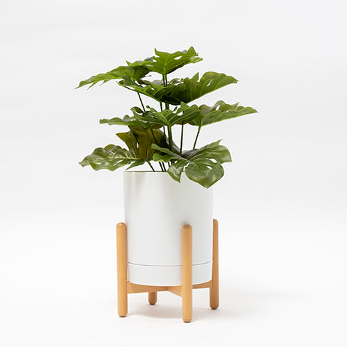 Maceta Ray blanca con pedestal madera